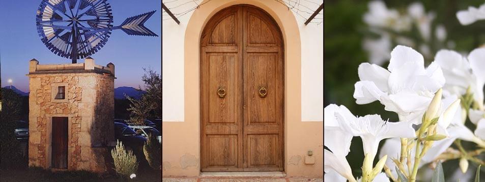 Agroturismo Finca Son Amora Palma de Mallorca Luaran gambar